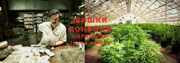 каннабис Богородицк