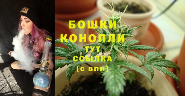 каннабис Богородицк