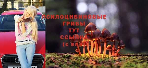 мяу мяу кристалл Богданович