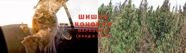 мяу мяу кристалл Богданович