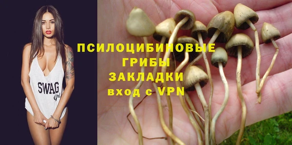 мяу мяу кристалл Богданович