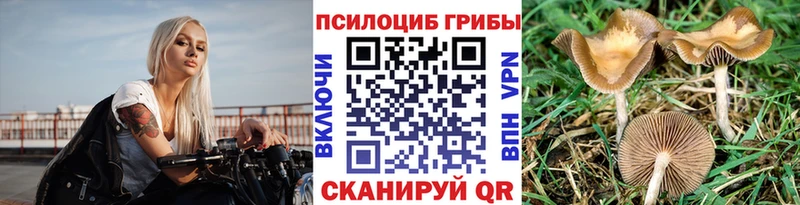 Псилоцибиновые грибы GOLDEN TEACHER  где купить наркоту  Минеральные Воды 